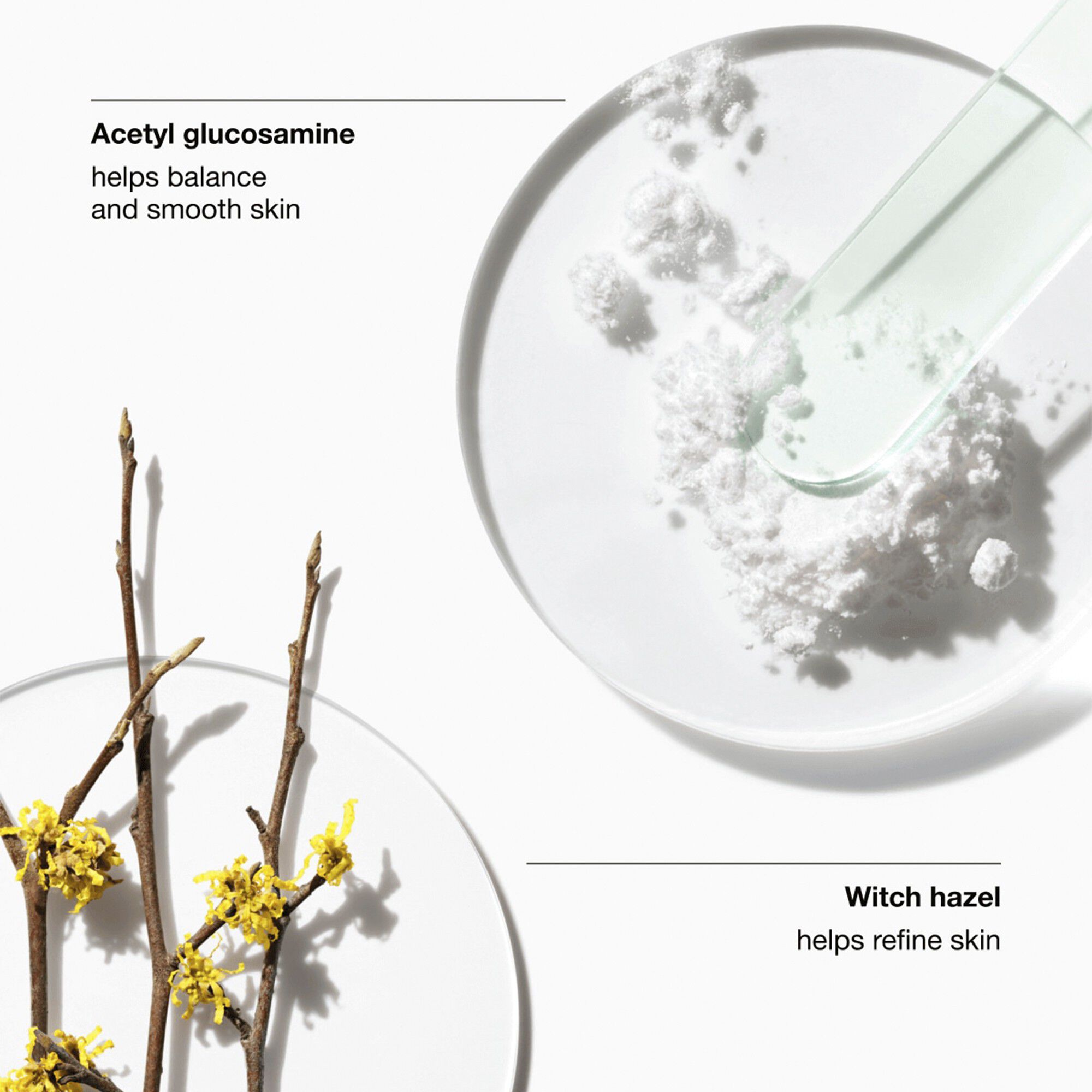 Clarifying Lotion 2