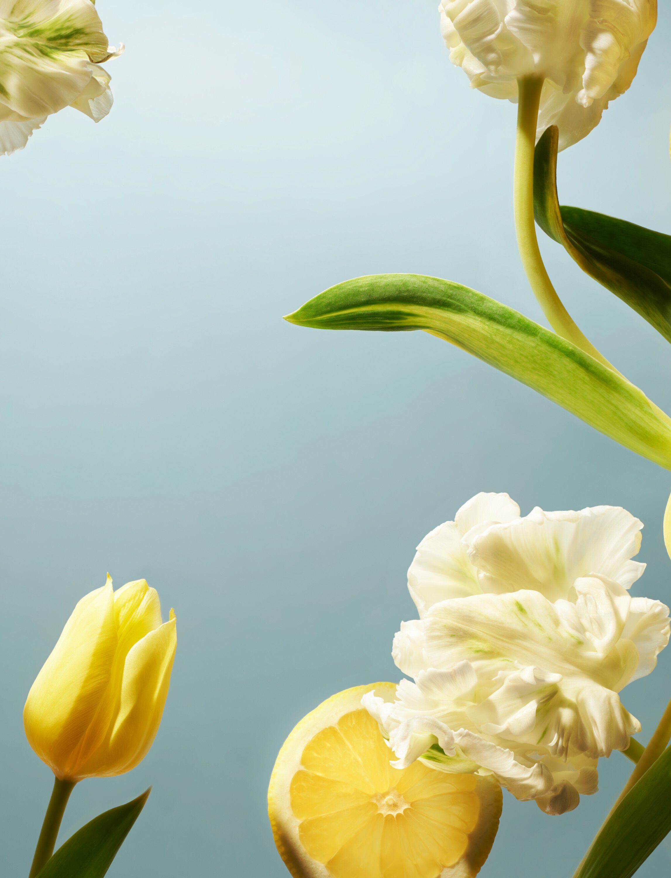 Amsterdam Collection Hand Wash 300ml