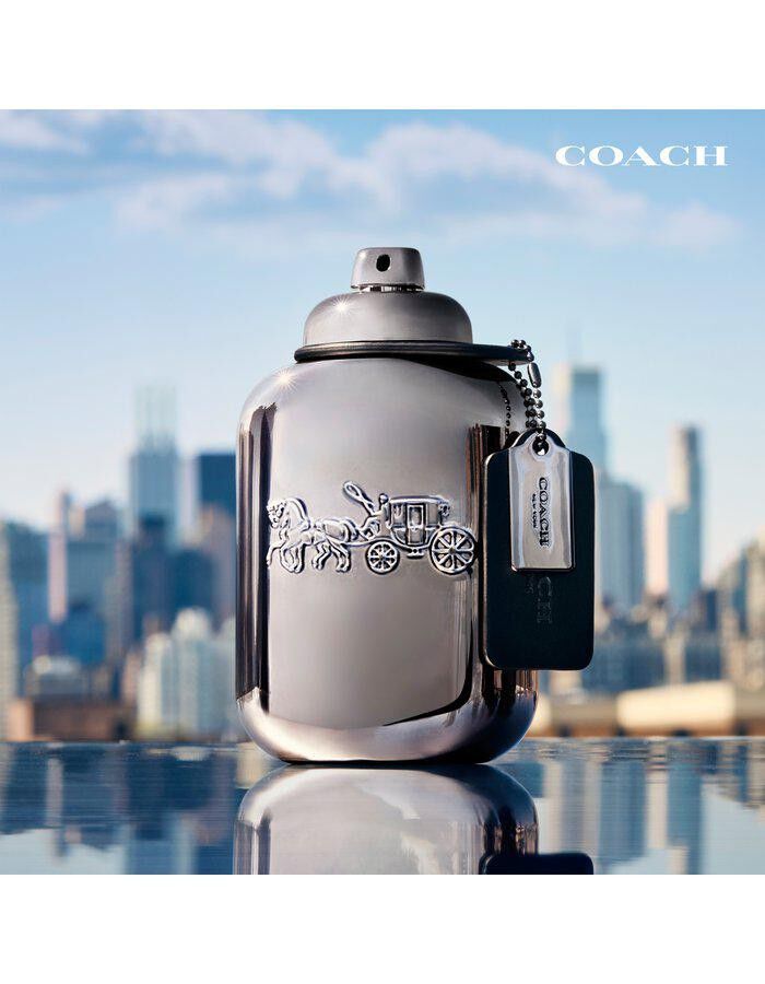 Pure Platinum Parfum