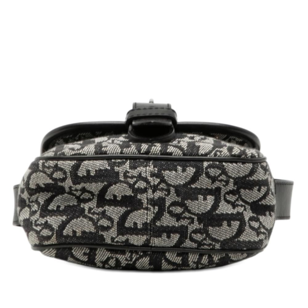 Dior Crossbody Bag