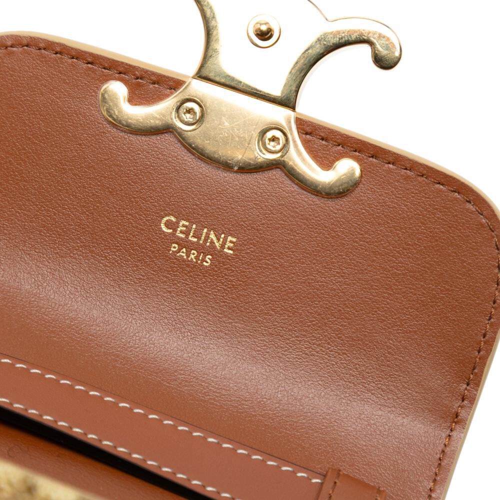 Celine Crossbody Bag