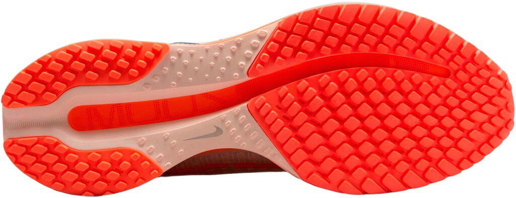 Pegasus Premium L&oslash;besko