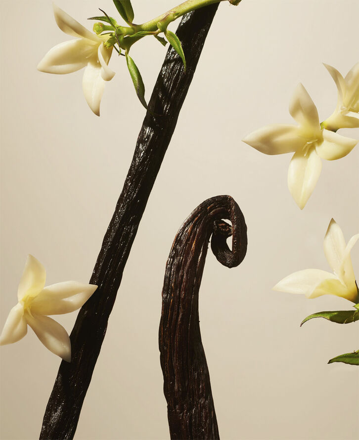 Suede Vanilla Fragrance Refill Sticks 900ml