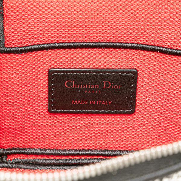 Dior Vanity Bag