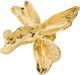 DREAM broche gold-plated