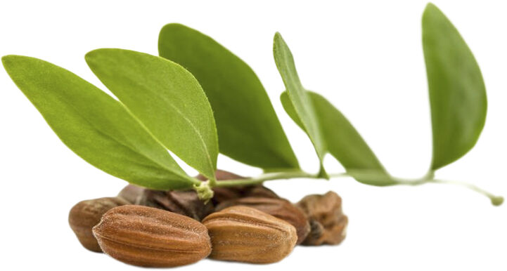 Organic Body Cream Lemongrass