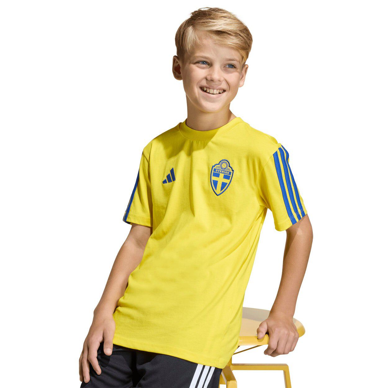 Sverige DNA T-shirt
