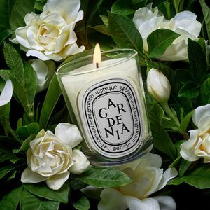 Gardenia Classic candle 190g/6. 7oz