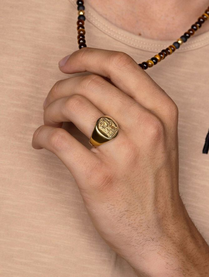 Men's Stainless Steel Lion Crest Ring with Gold Plating