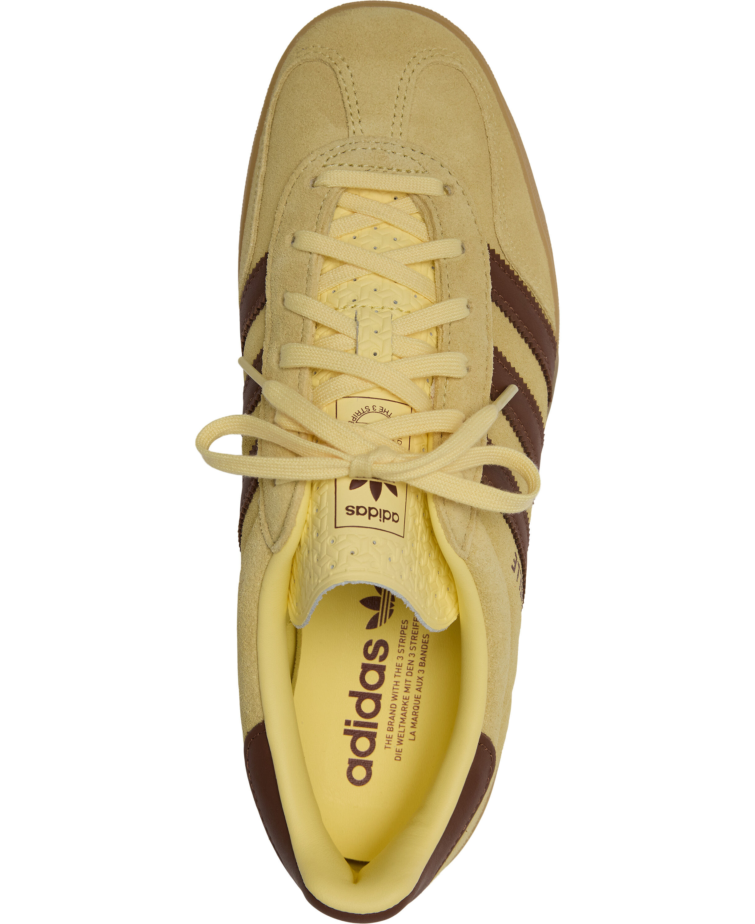 GAZELLE INDOOR W