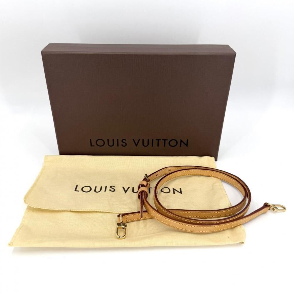 Louis Vuitton Pochette Accessoires