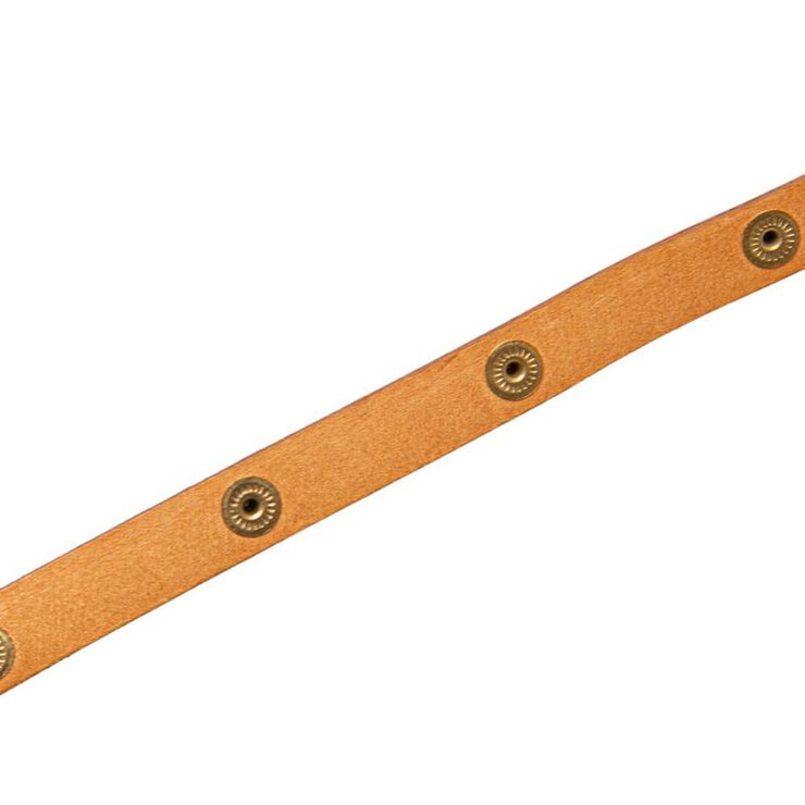 Louis Vuitton Florentine Pochette