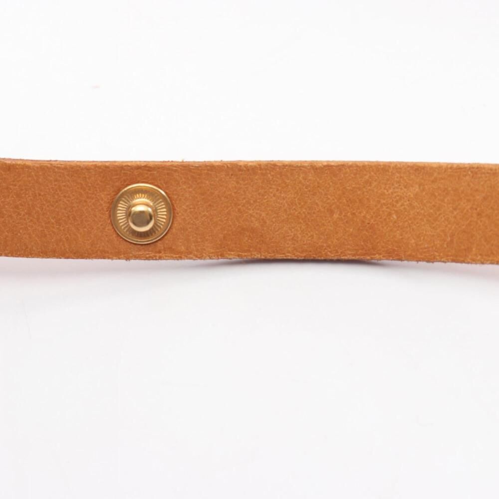 Louis Vuitton Florentine Pochette