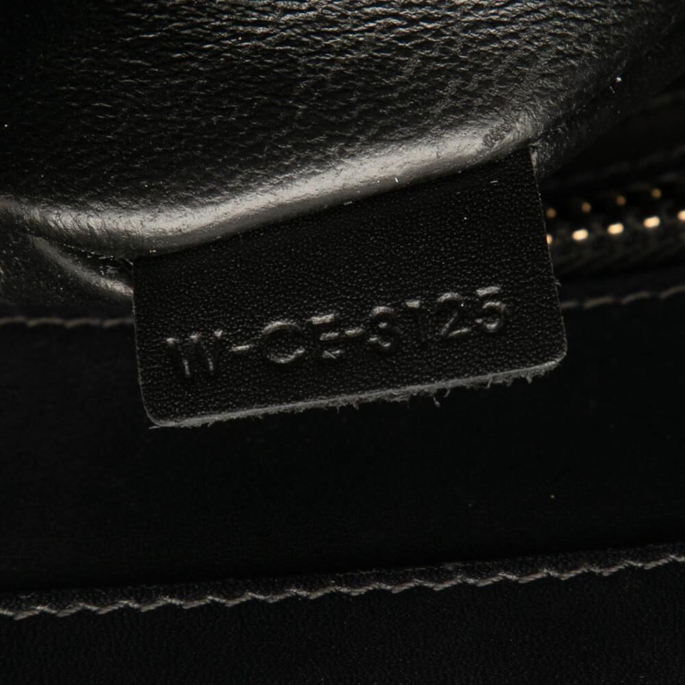Celine Luggage