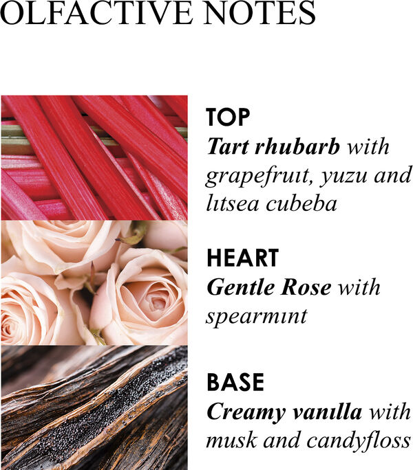 DELICIOUS RHUBARB & ROSE HAND WASH REFILL