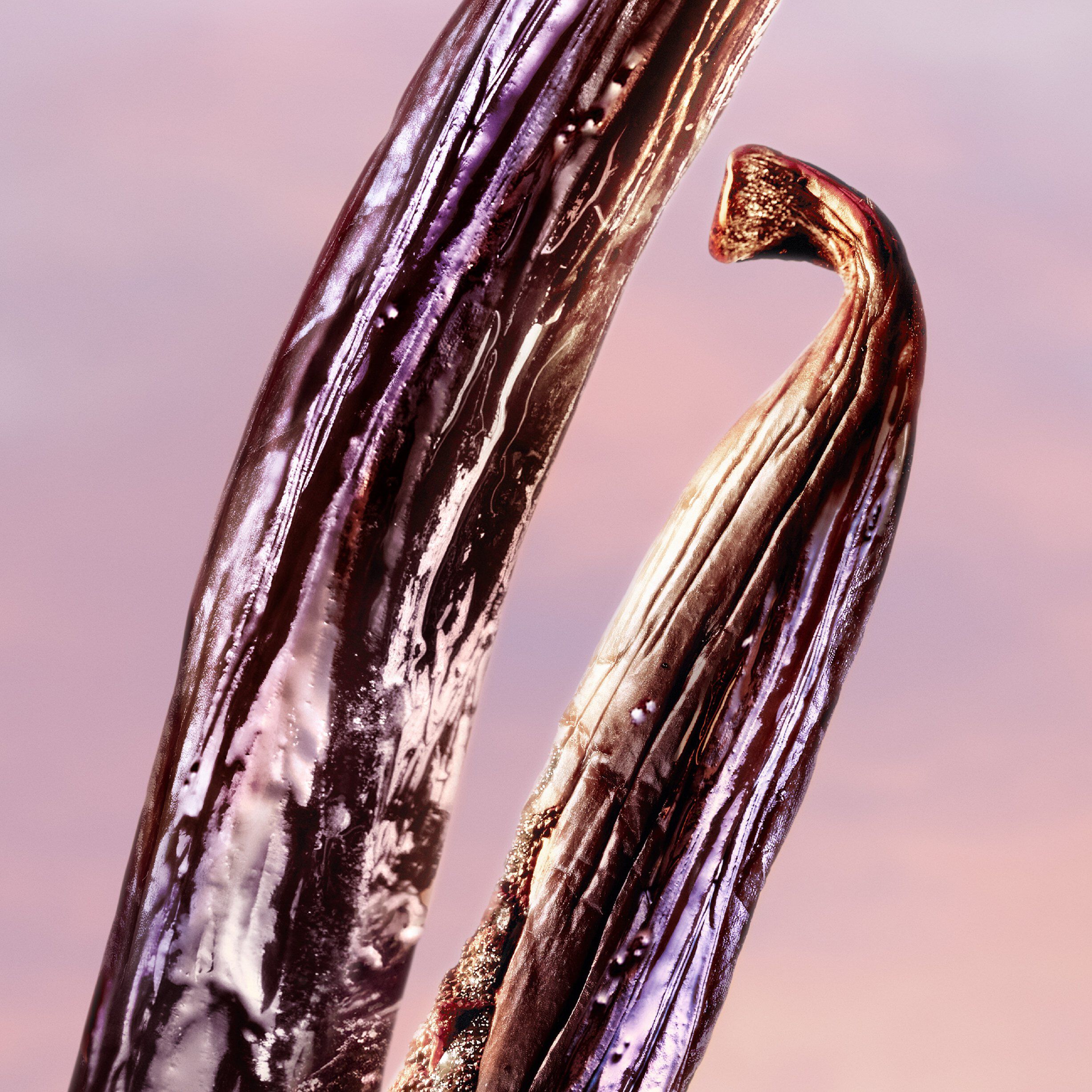 La vie est belle Vanille Nude Eau de Parfum