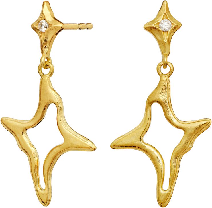 Roxy Earrings