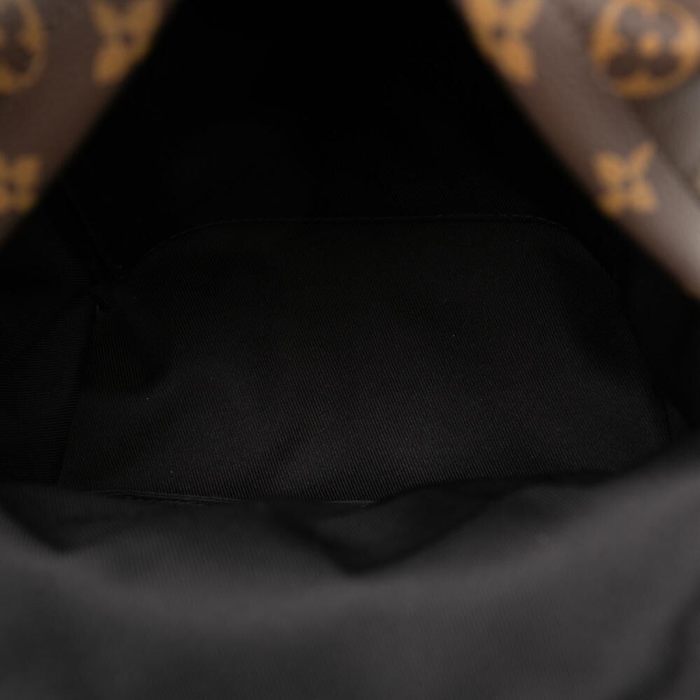 Louis Vuitton Palm Springs