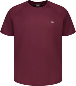 Stride Raglan Tr&aelig;nings T-shirt