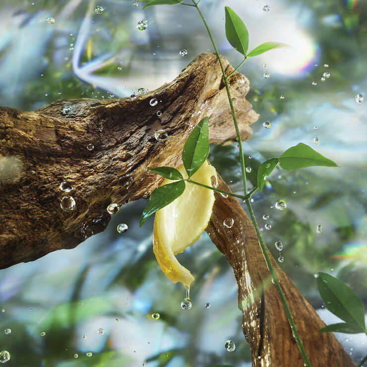 Magic Energy - Fragrance Collection of Emotions