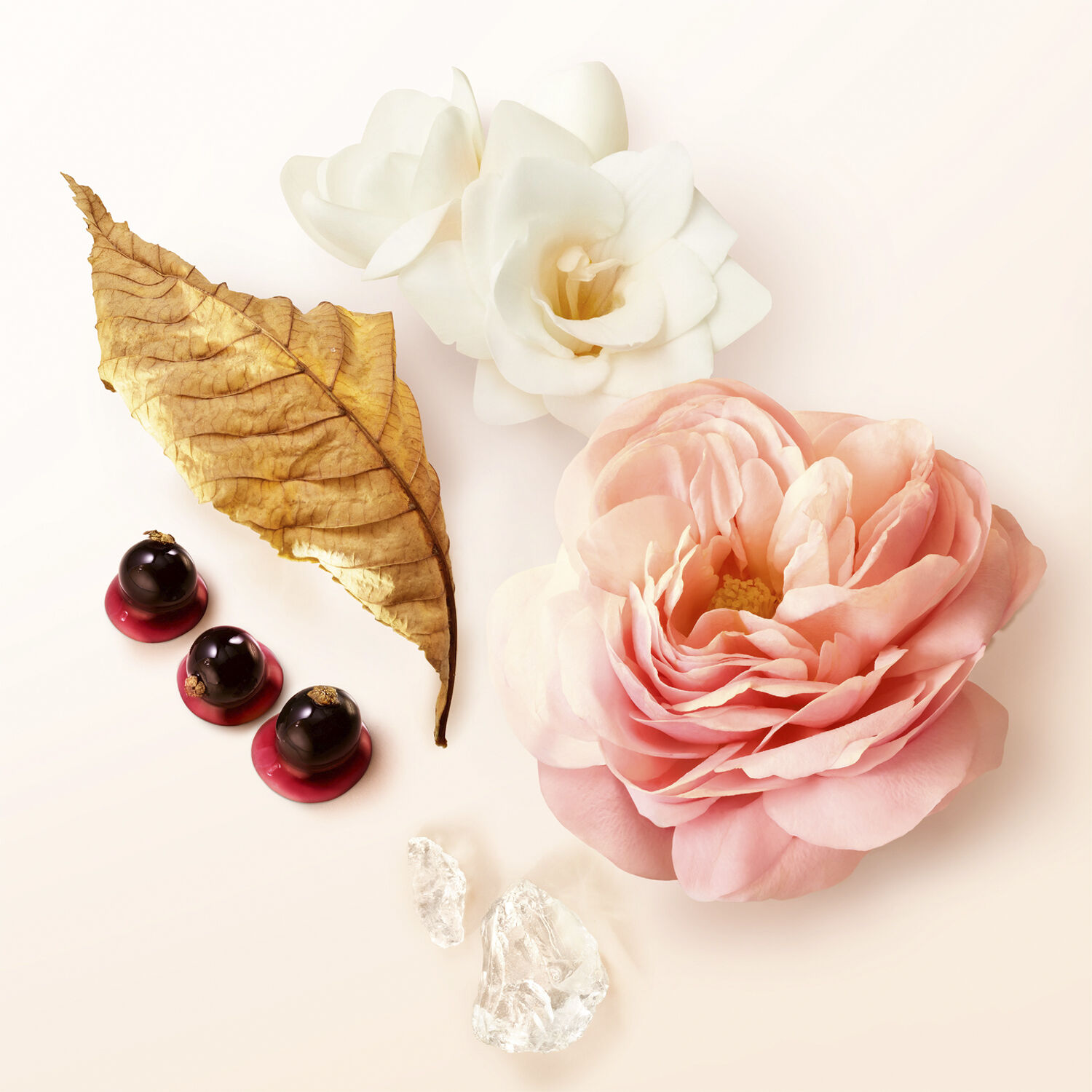 S&igrave; Eau de Parfum Refill