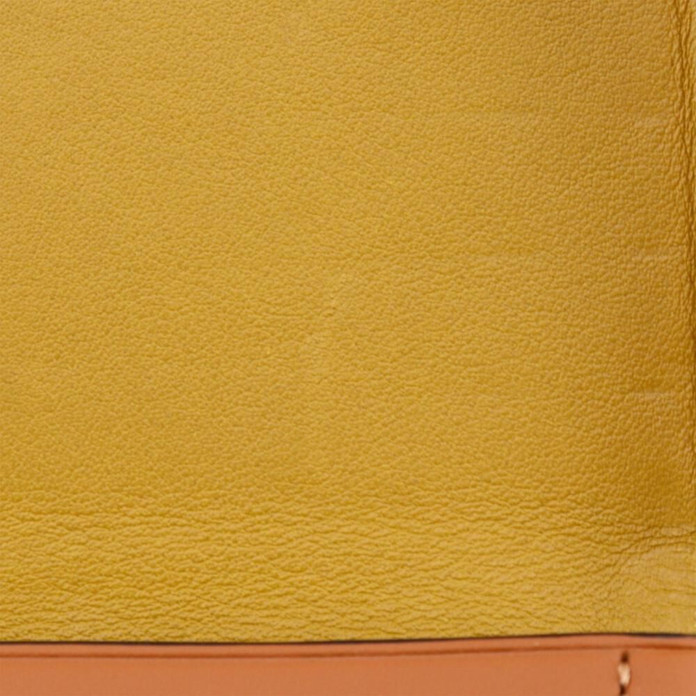 Loewe Crossbody Bag