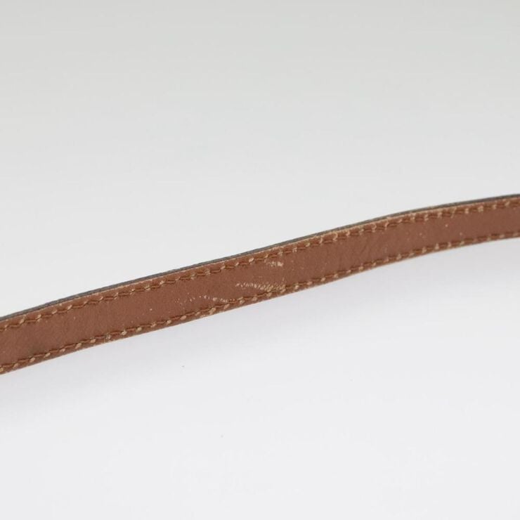 Louis Vuitton Shoulder Bags