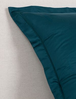 Egyptisk panderose pine