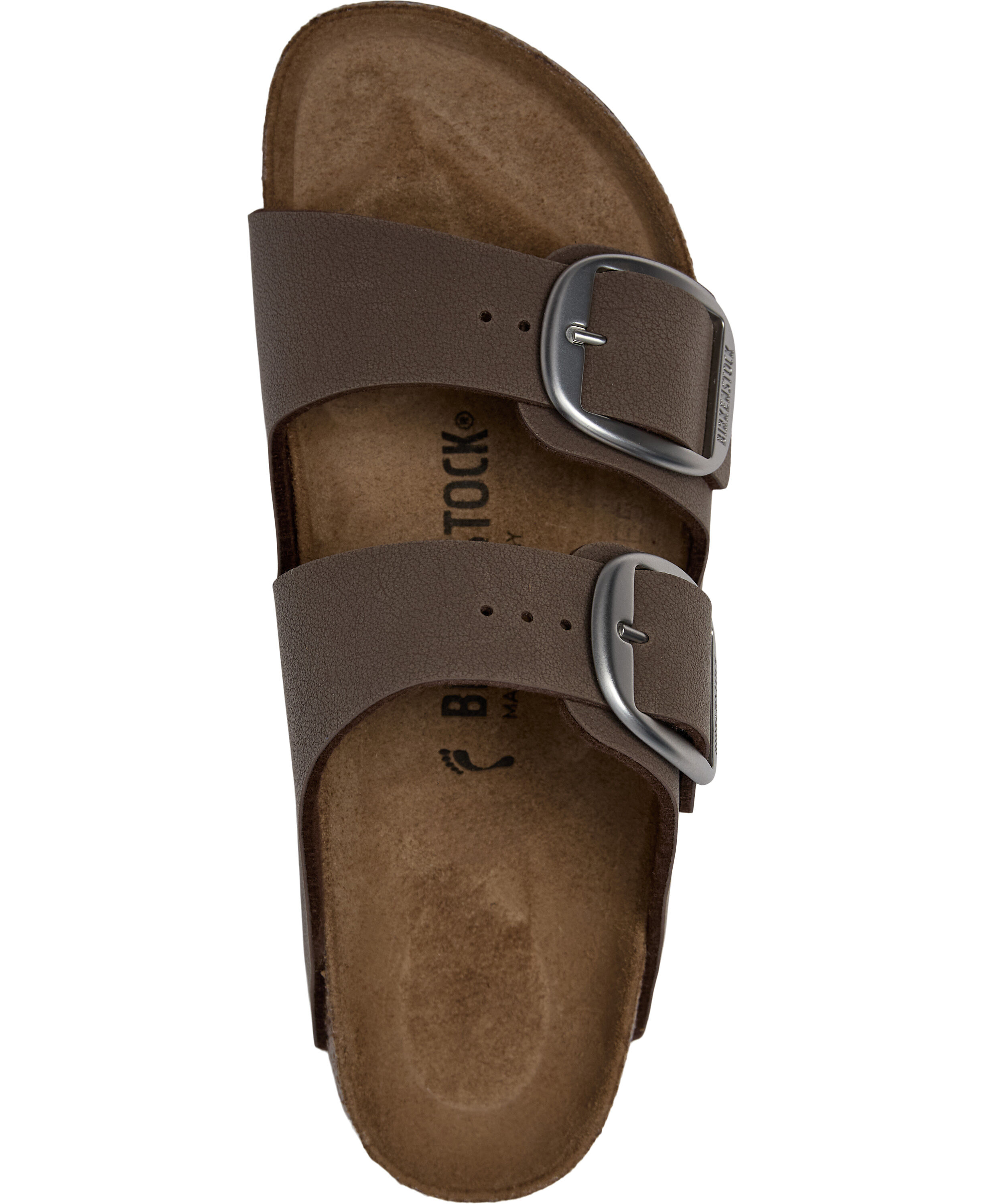 Arizona BB BFBC Mocca