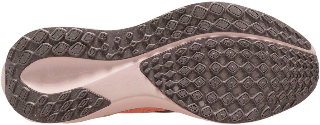 Pegasus 41 L&oslash;besko