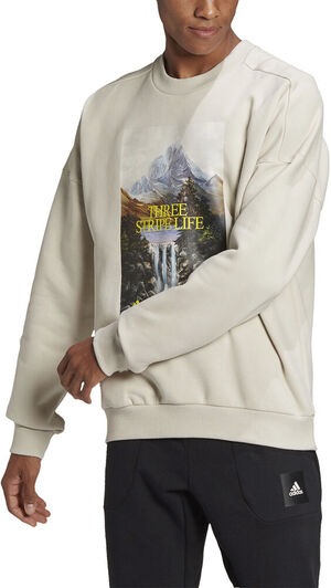 adidas Sportswear Mountain Graphic trøje