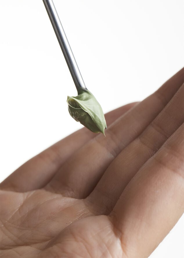 Raz Skincare Face Cream, CALM 50 ml