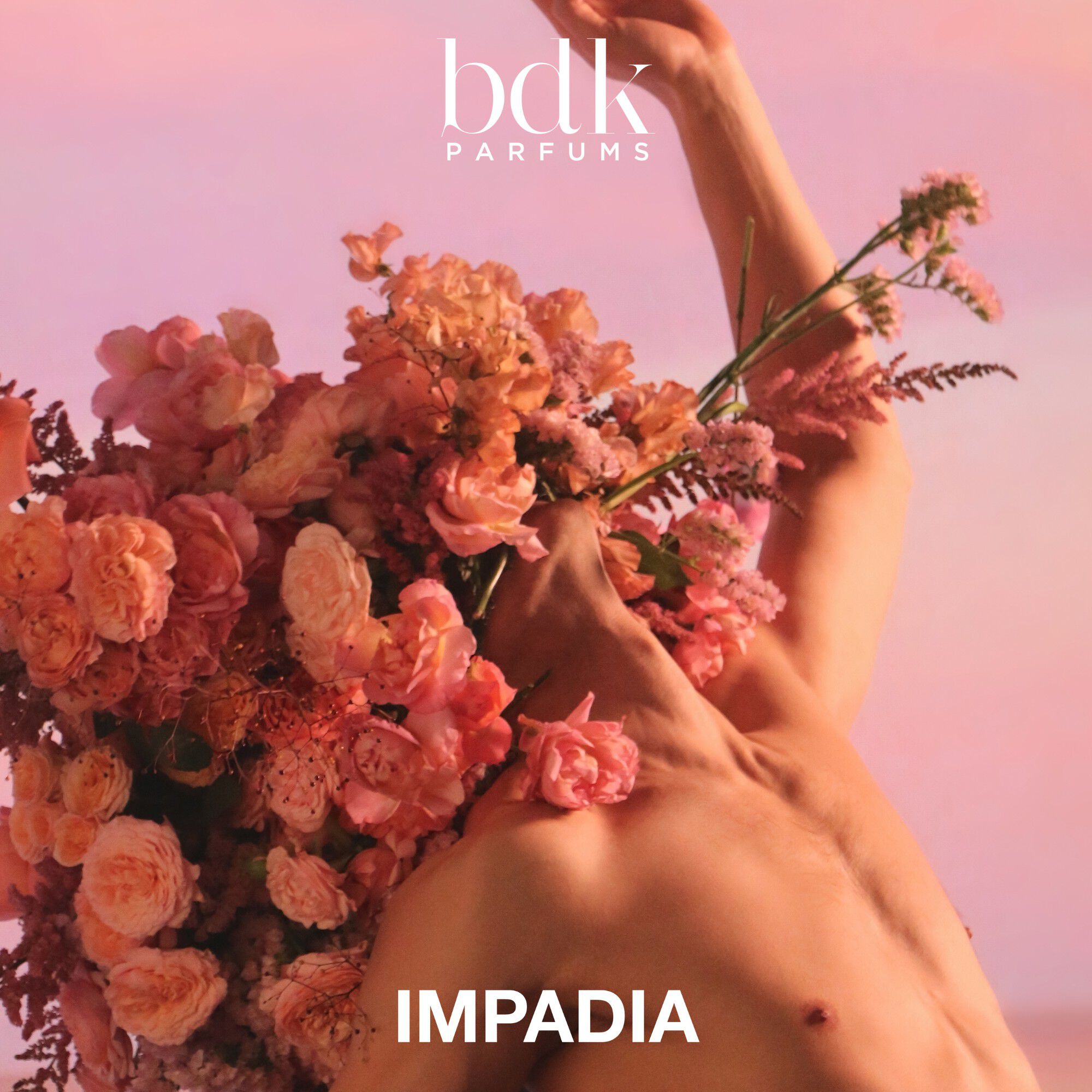 IMPADIA - Eau de Parfum 100 ML