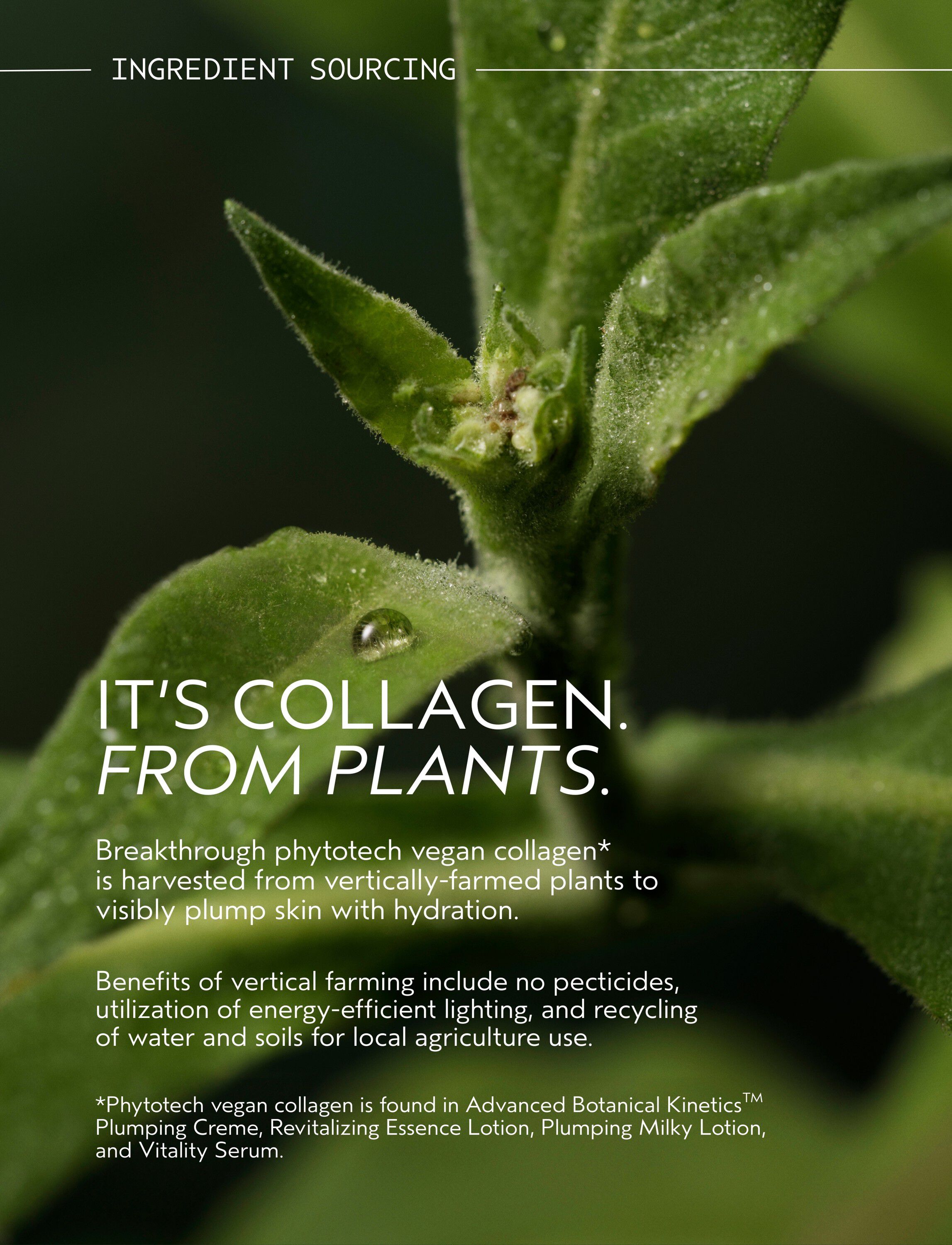 Advanced Botanical Kinetics&trade; Plumping Milky Lotion 50 ml