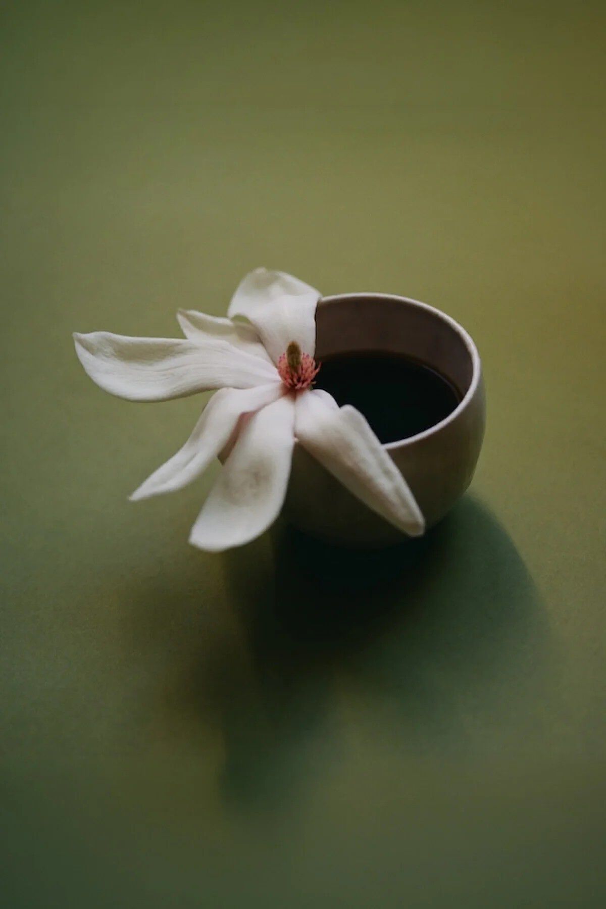 Yacuri Washed Typica