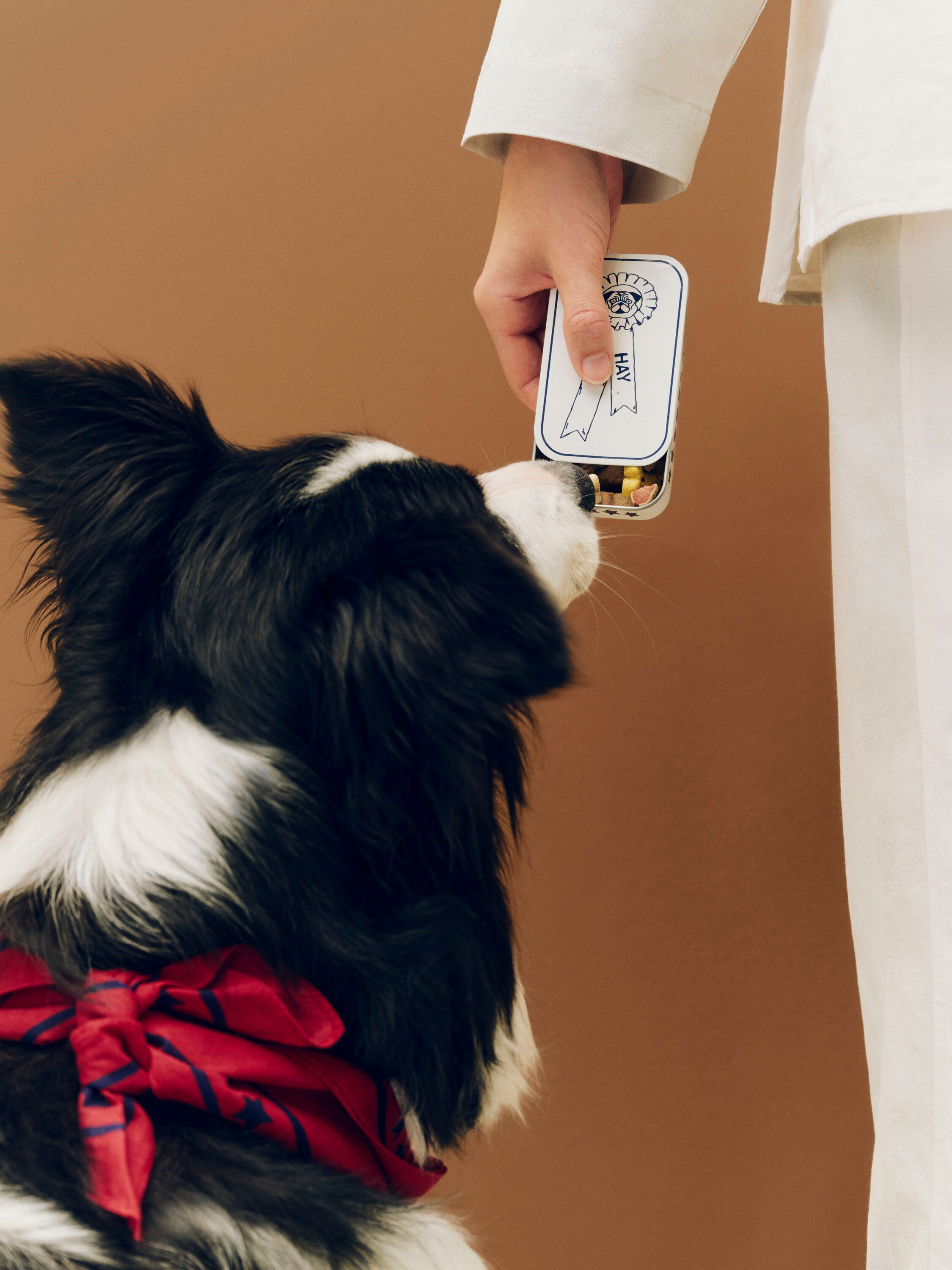 HAY Dogs Treat Tin-Small-Blue and w