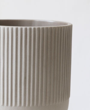 Bowl Large
