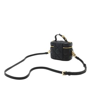 Dior Vanity Bag
