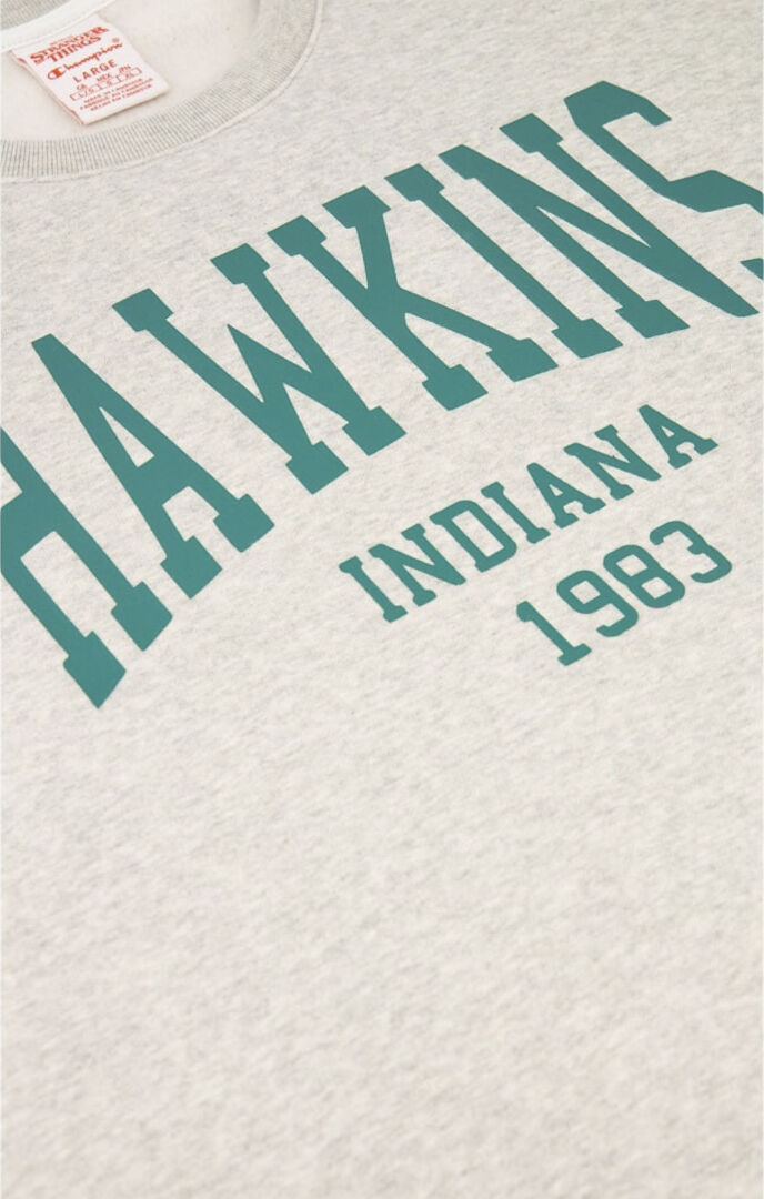 Champion X Stanger Things Hawkings sweatshirt
