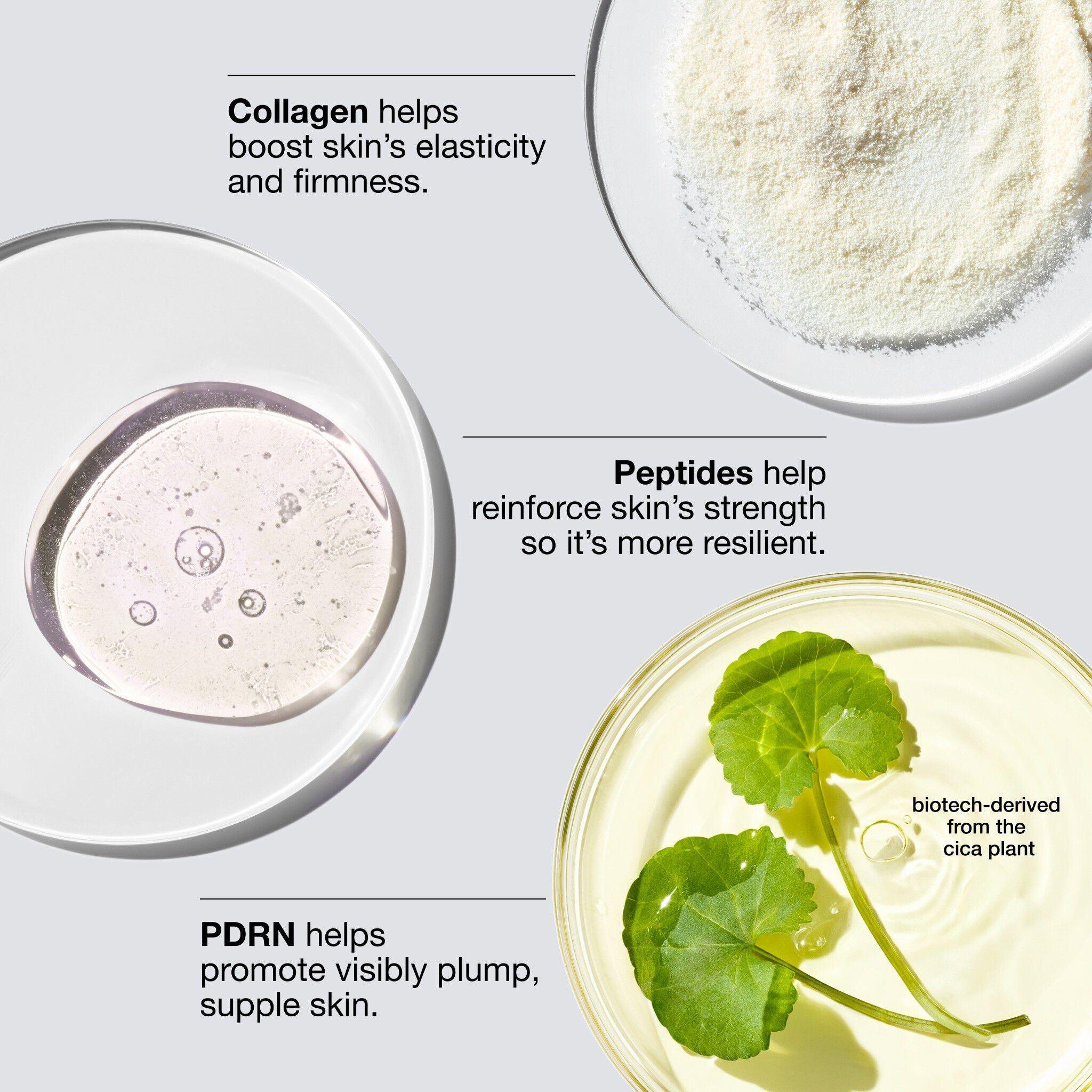 Smart Clinical Repair Collagen + PDRN Cream