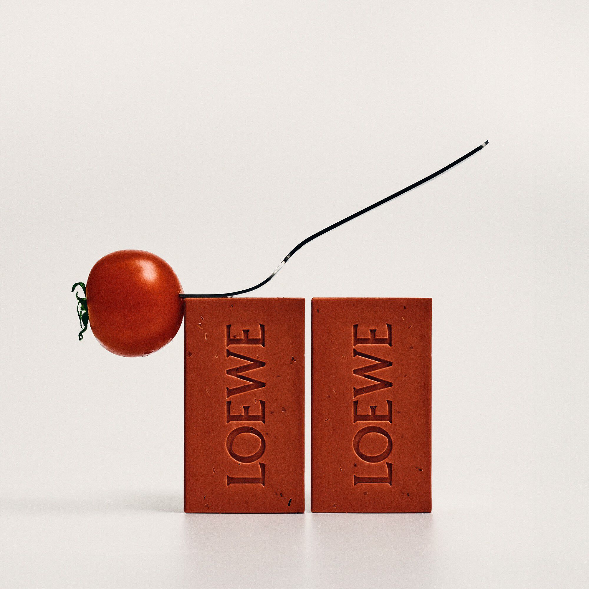LOEWE Tomato Leaves Solid Soap