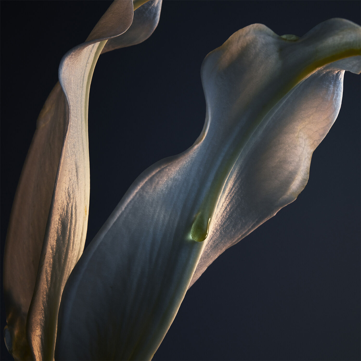 Lady Million Deodorant spray 150 ml