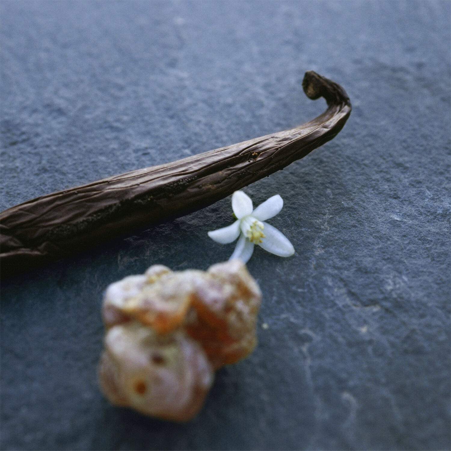 Nomade Nuit d'Egypte Eau de Parfum