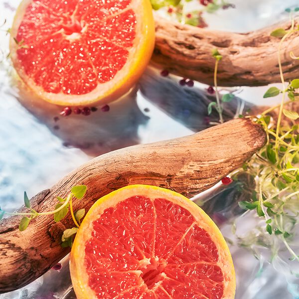 ELYSIUM POUR HOMME EDP 100 ML