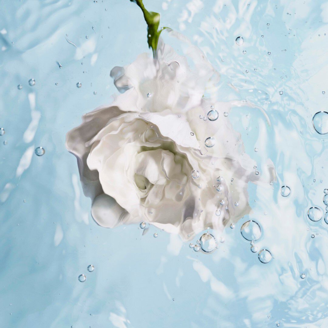 Nourishing Lip Care