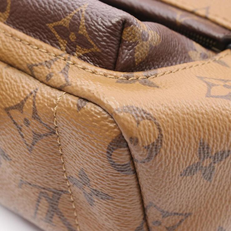 Louis Vuitton Palm Springs