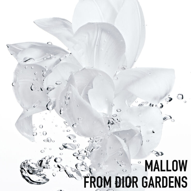 Dior Hydra Life Balancing hydration - 2 in 1 sorbet water