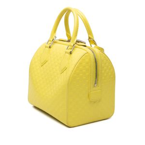 Louis Vuitton Speedy