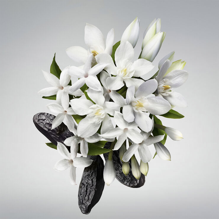 CAROLINA HERRERA Good Girl Hairmist 30 ML