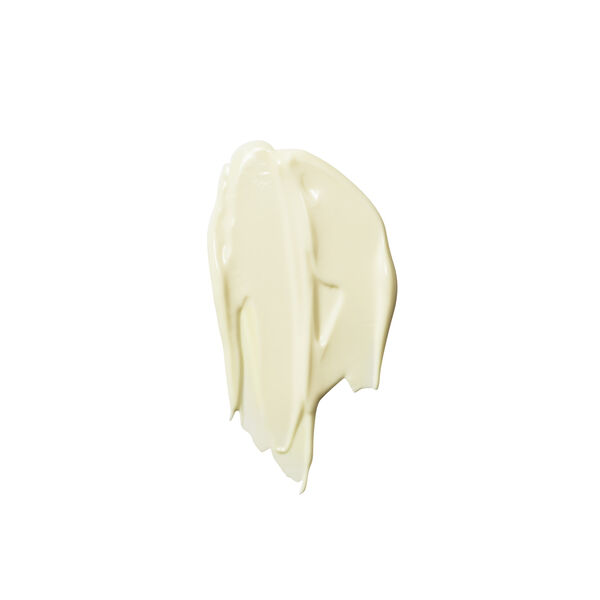 The Rich Cream Ultra-protective rich moisturiser